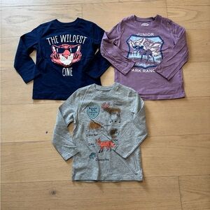 Pack of three Carter’s toddler graphic long sleeve tee, size 2T
